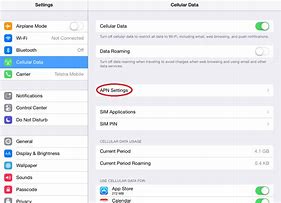 Image result for APN Settings for iPad