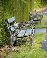Image result for 2X10 Bench