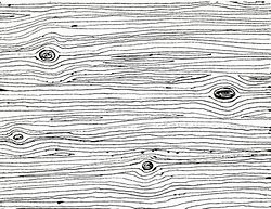 Image result for Wood Texture Line Art