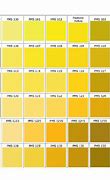 Image result for Gold Pantone Colour