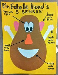 Image result for Five Senses Chart Preschool