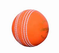 Image result for Cricket