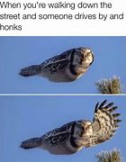 Image result for Relatable Animal Memes 2019
