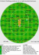 Image result for Funny Cricket Fielding