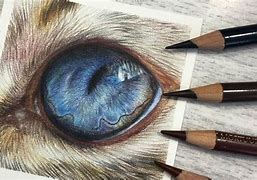 Image result for Cat's Eye Drawing Details