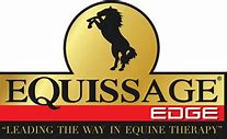 Image result for equiseg�ceo