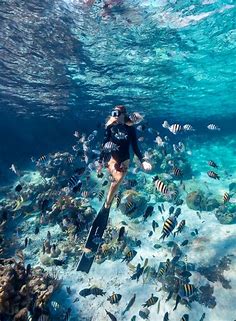 Pin by Jordan on Future | Underwater photography, Travel aesthetic ...