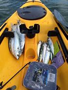 Image result for Catch Classic 120 Fishing Kayak