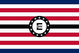 Image result for Fallout Enclave Flag