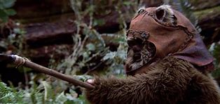 Image result for Star Wars Ewok Wicket