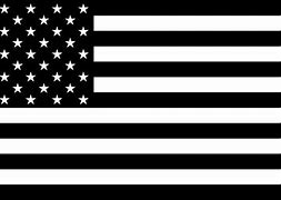 Image result for American Flag Flat