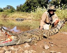 Image result for Crocodile Hunting