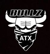 Image result for Bullz Computer Graphics