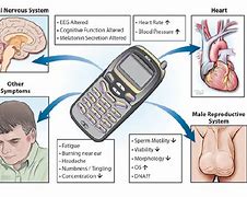 Image result for Human Cell Phone
