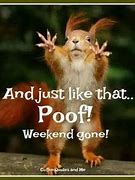 Image result for Long Weekend Humor