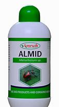Image result for almid
