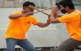 Image result for Deadliest Martial Arts Techniques