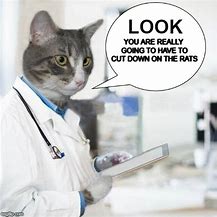 Image result for Animal Doctor Meme