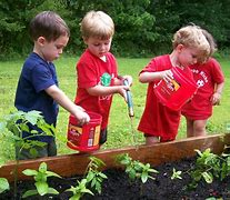 Image result for Preschool Children Playing Outside