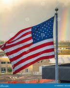 Image result for Rainbow American Flag