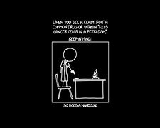 Image result for Xkcd Computer Screen