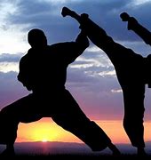 Image result for All Types of Martial Arts