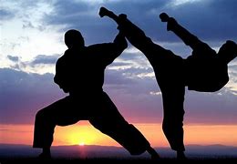 Image result for Top 10 Martial Arts in the World