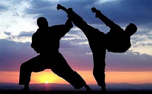 Image result for Every Martial Art