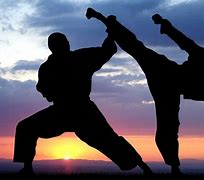 Image result for Martial Arts throughout the World