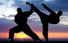 Image result for Martial Arts Graphics