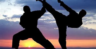 Image result for Cool Martial Arts Pictures