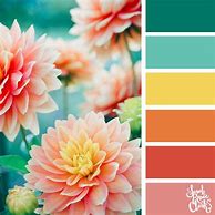 Image result for Flower Color Palette