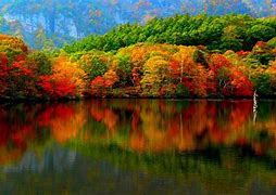 Image result for Fall iPhone Wallpaper