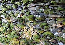 Image result for Painting Moss On Rocks
