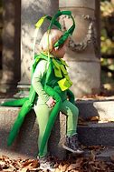 Image result for Pet Cricket Costume