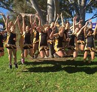 Image result for Medowie Netball Club