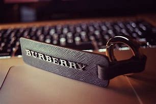 Image result for Burberry Key Holder