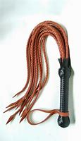 Image result for Roman Cat of Nine Tails Whip