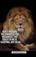 Image result for Be S Lion