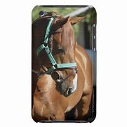 Image result for New Covers for My iPod Horse