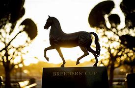 Image result for Breeders' Cup Fashion for Women