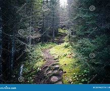 Image result for Creepy Pathway with Blood