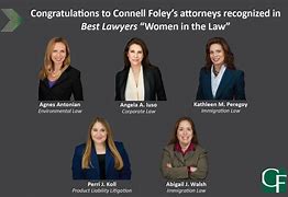 Image result for Attorneys On Law and Order