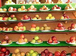 Image result for Apple Day Cornwall