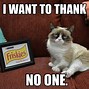 Image result for Cat Say No