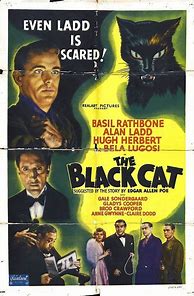 Image result for The Black Cat Movie Poster Project