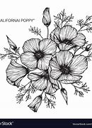 Image result for California Poppy Flower Drawing