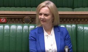 Image result for Liz Truss Figure