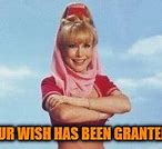 Image result for Your Wish Is Granted Meme
