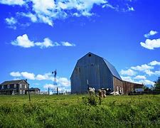 Image result for Amish Barn Building